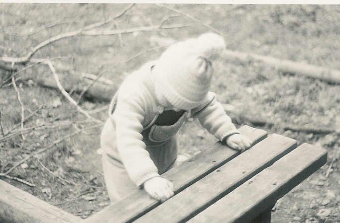 Radek - Syn domkáře Zéni (1987).jpg